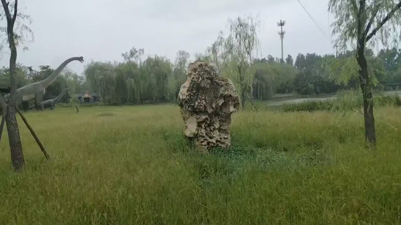 This small rockery has a strange shape