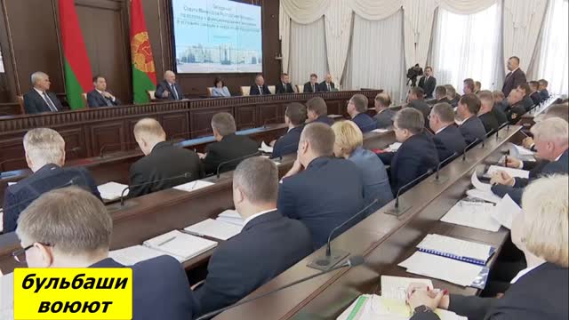 Бульбаши едят тетропаки! Воюют!