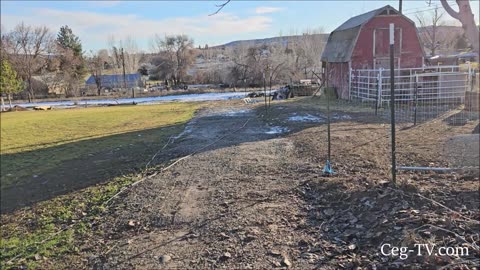 Graham Family Farm: Cold Wind Chill