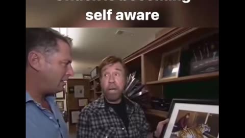 Random Memes