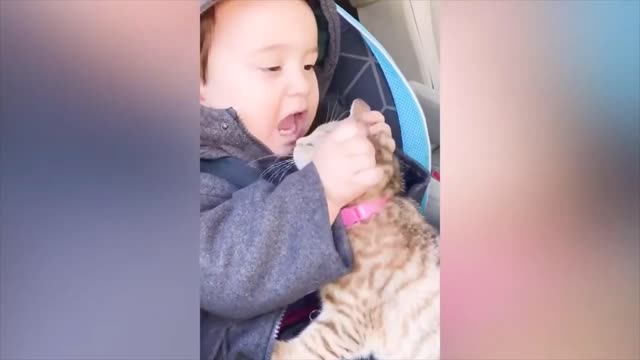 Baby and cat fun and cat cute baby and funny videos