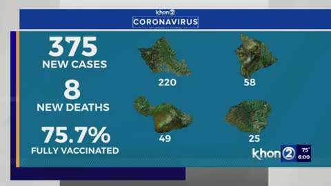 Hawaii reports 375 COVID cases, 8 new deaths