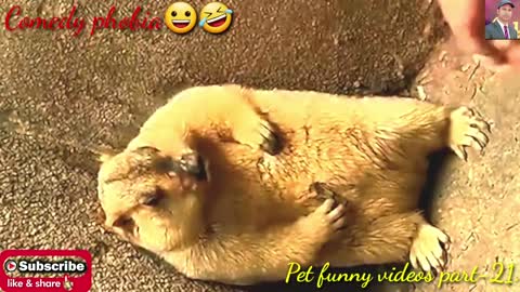 BEST NEW FUNNY VIDEOS COMPILATION 2022