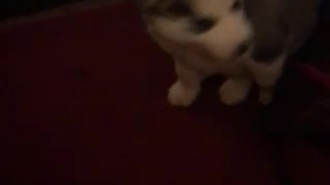 What did you say.