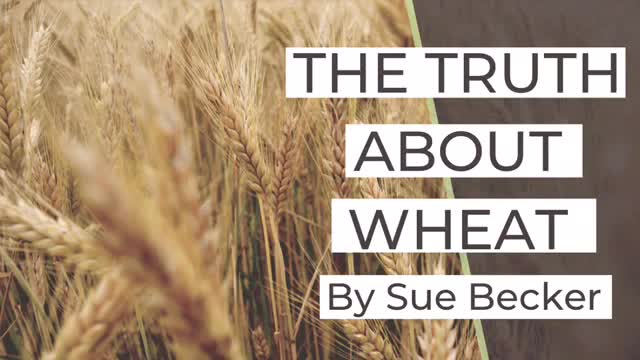 The Truth About Wheat by Sue Becker | Bread Beckers | Wheat Belly Myths