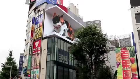 Did you imagine this is technically in china today