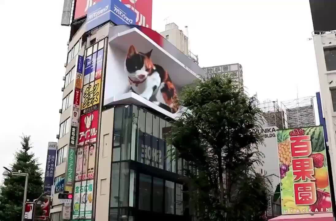 Did you imagine this is technically in china today