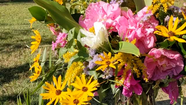 Beautiful yard flowers