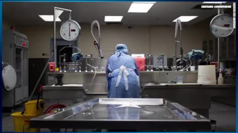 LES PAGAN PARA MATARTE