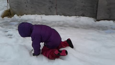 Easter Egg Hunt in Snow