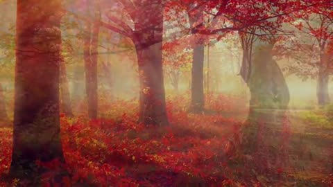 RelaXing music