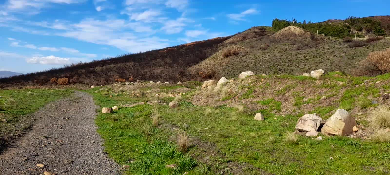 Discovery of the Quarry