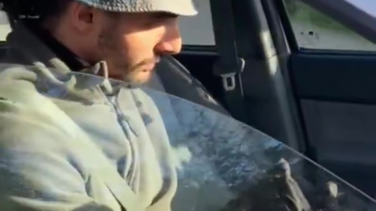 šNewtownmountkennedy In footage, I haven't seen before a migrant security