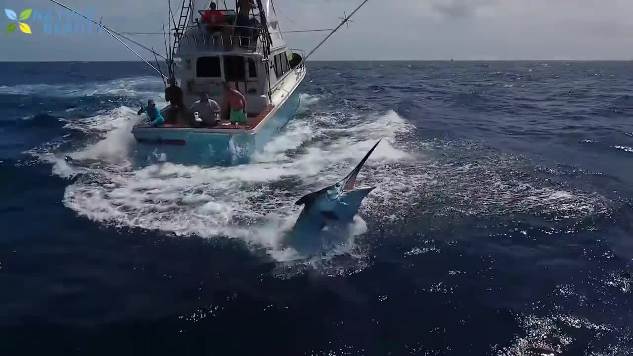 Amazing Fishing Skills, Catching Big Tuna