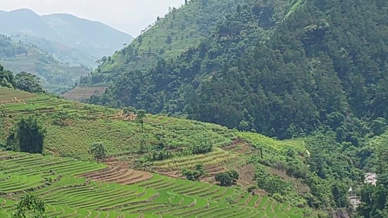 A valley in Yen Bai