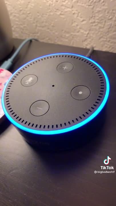 Alexa, You Nasty Bitch