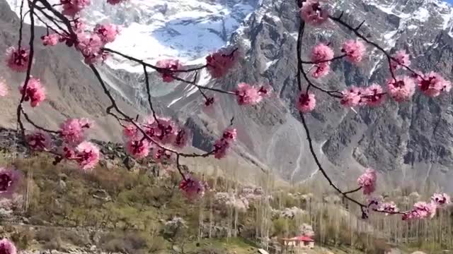 Spring 2021 in skardu valley gilgit baltistan in Pakistan