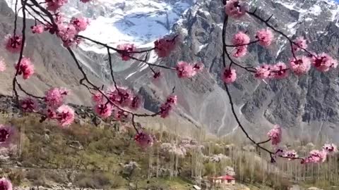 Spring 2021 in skardu valley gilgit baltistan in Pakistan