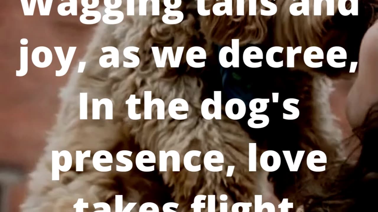 Furry Friends and Fables: Literary Musings on Four-Legged Companions #poem #poetry #shorts #art👍👄🔔