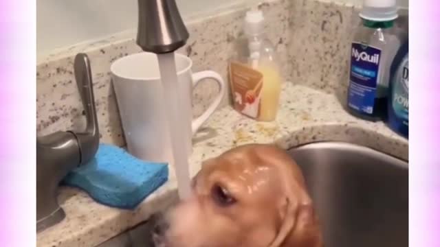 π Bath Time Is So Much Fun πΆπ