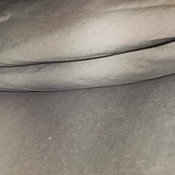 Hunting for a puppy Spud