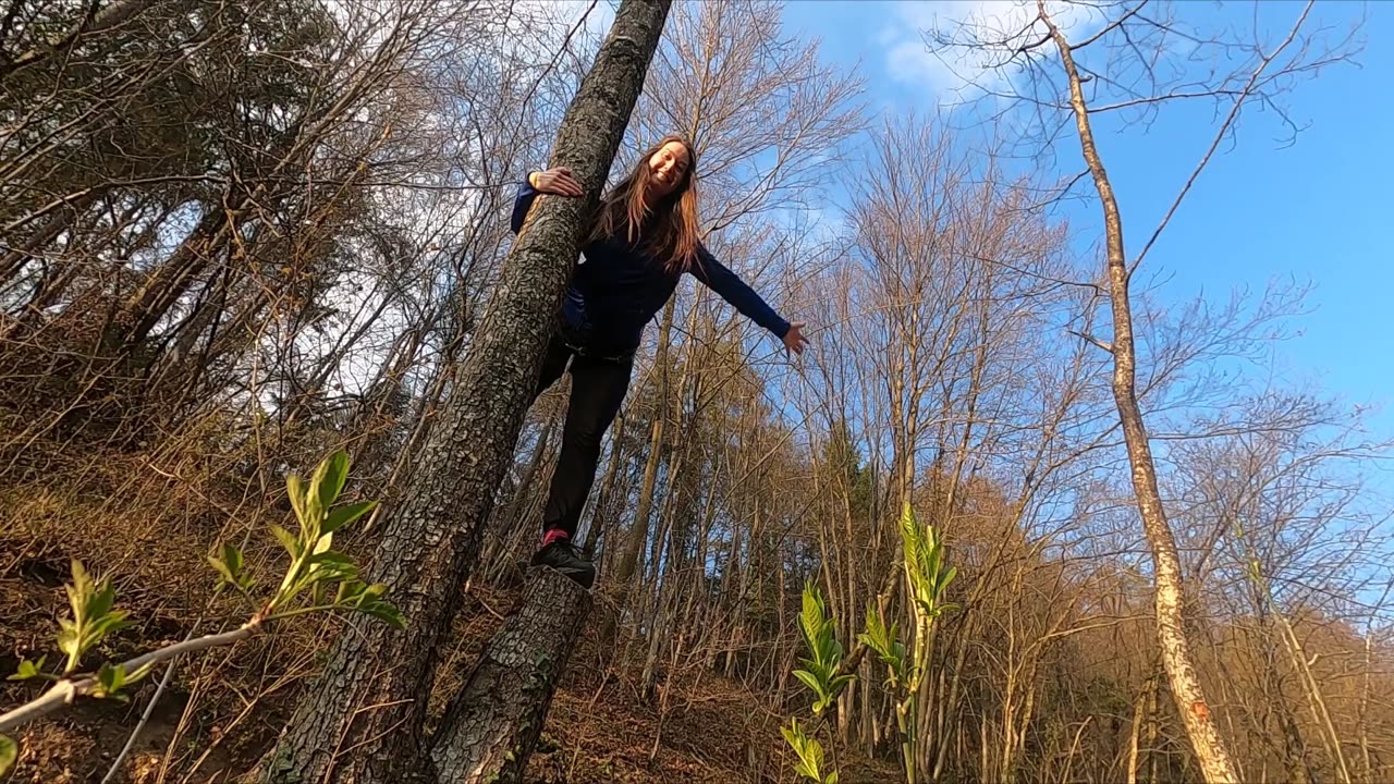 Awesome rising Scene