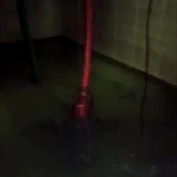 WATCH: Here’s why there was dead fish and a foul smell along Winkelspruit Beach