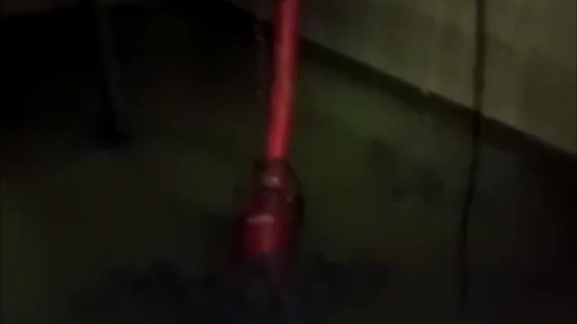 WATCH: Here’s why there was dead fish and a foul smell along Winkelspruit Beach