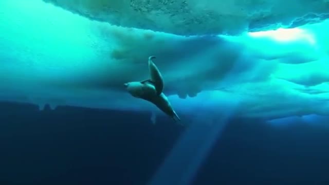 el encuentro