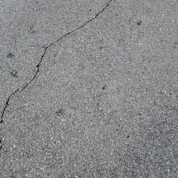 Trump rally Sarasota