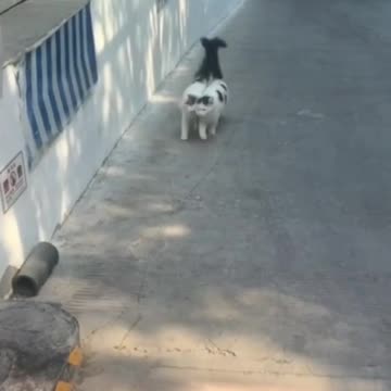 Why do it like that? It's not pretty