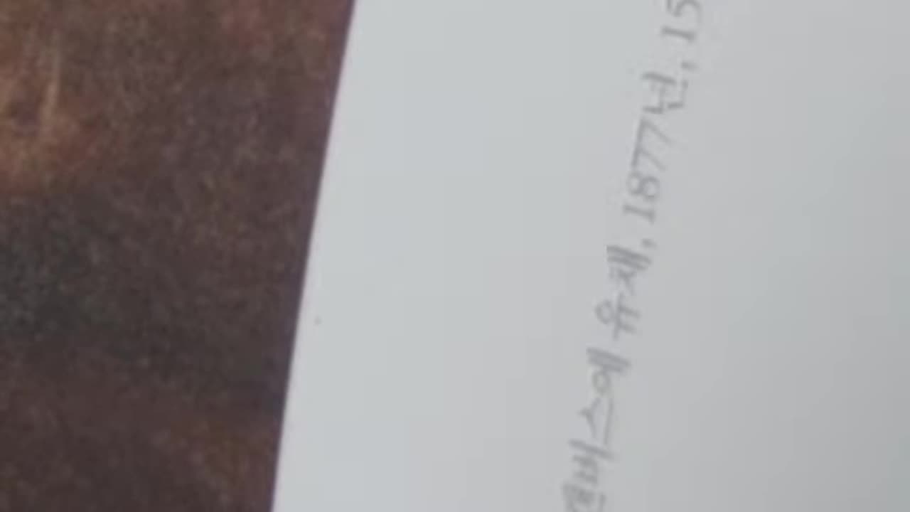 다 그림이다,손철주,이주은,모자람도더함도없이,꽃그림,화가,닥터지바고,청나라,낭세령,선교사,강희, 옹정, 건륭제, 동양화,연밥,연과,취서도,님페아