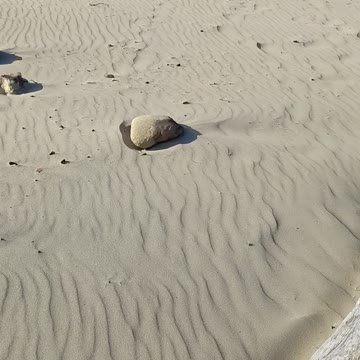 Public Musturbation on Some Random Oregon Coast Beach