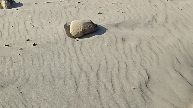 Public Musturbation on Some Random Oregon Coast Beach