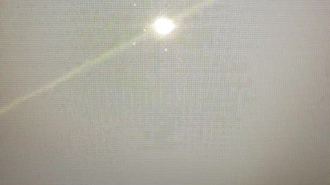 Antifa Goes To The White House