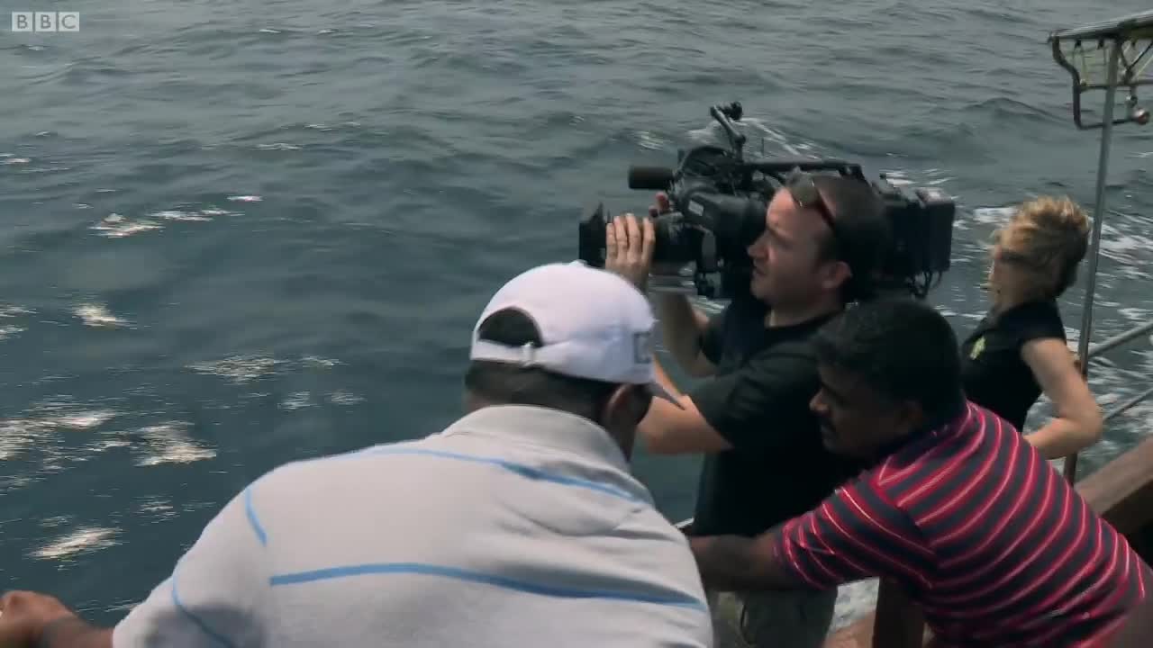 Disgusting! Blue Whale Poo! | Deadly 60 | BBC Earth