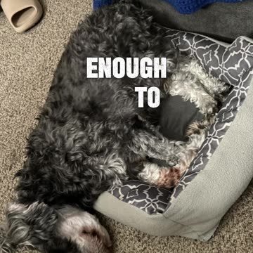 Every dream is possible