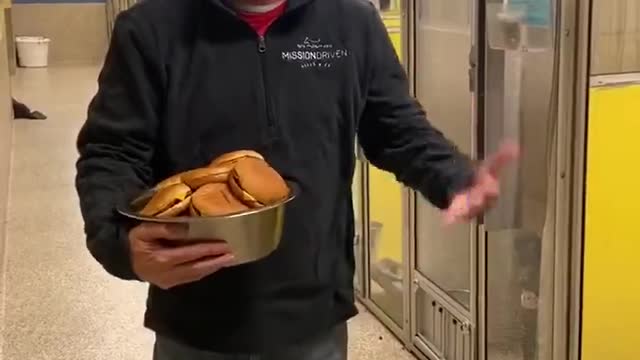 Shelter Dogs Given Cheeseburgers for Dinner