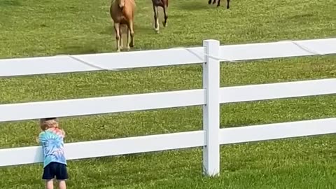 Baby calling horses