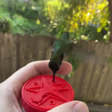 funny|prank|jokes|funny jokes|dad jokes|funny memes|funny video|fun|laughing|funny animal|knock