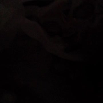 abrindo cofre de madeira pt3