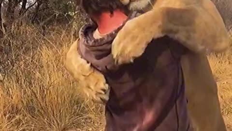 Lion meets her keeper after years