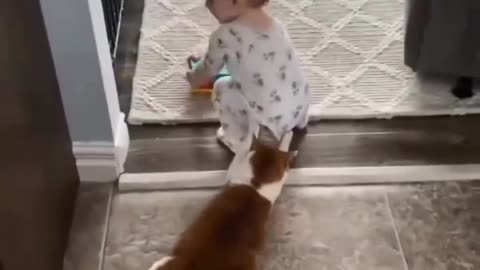 BABY PLAYING WITH HONEST DOG