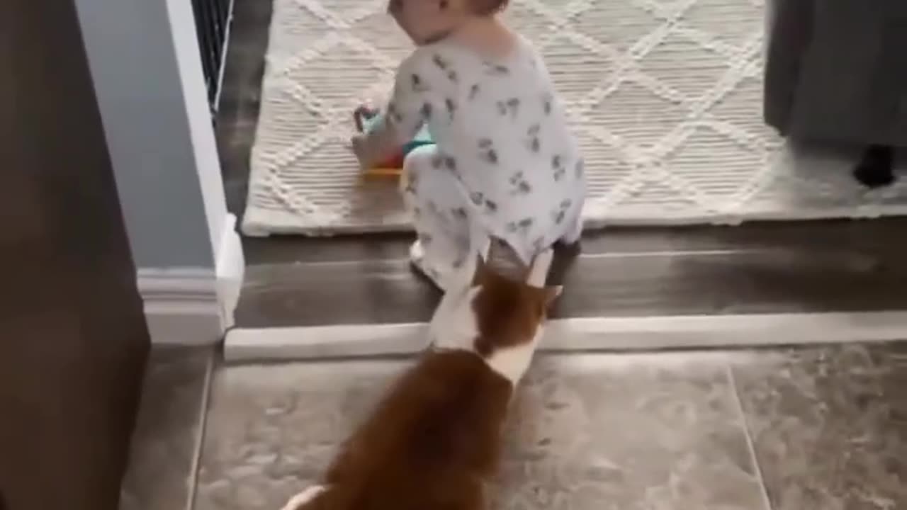 BABY PLAYING WITH HONEST DOG