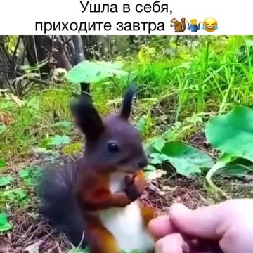 Come to yourself tomorrow