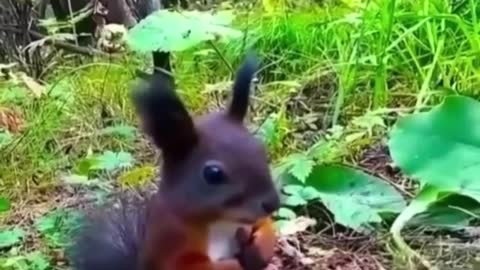 Come to yourself tomorrow