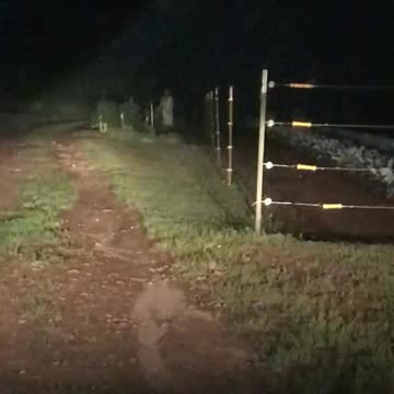 Creepy person in my garden