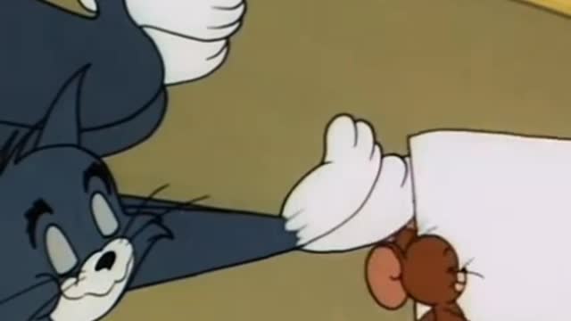 Tom and jerry love funny video