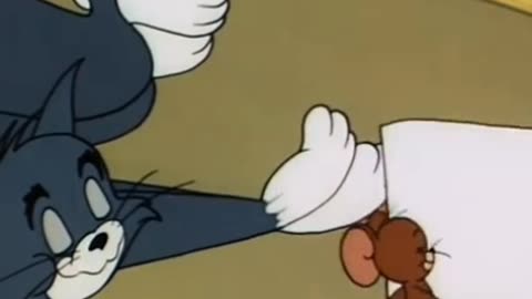 Tom and jerry love funny video