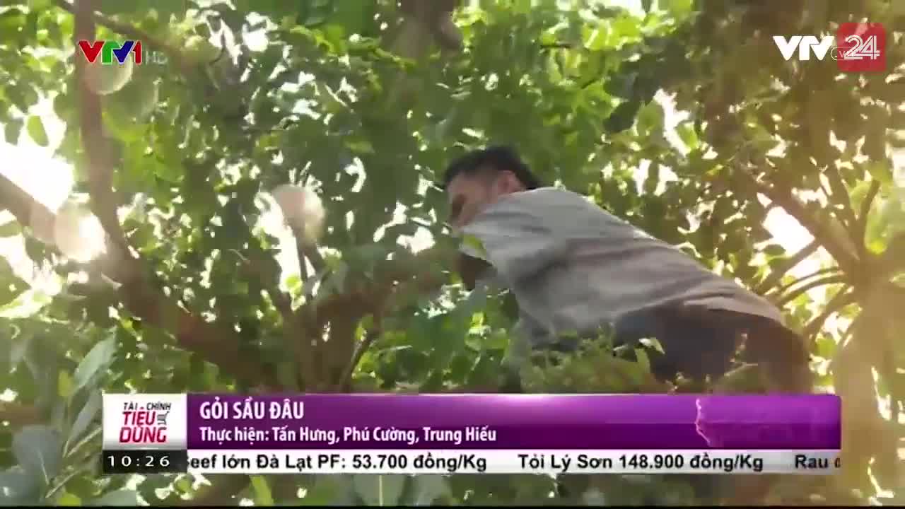 gỏi sầu đâu